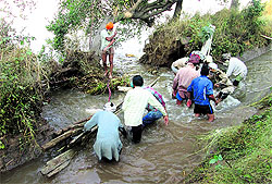 Local residents try to plug a 20-ft wide breach in a canal near Bhindran village in Sangrur on Sunday