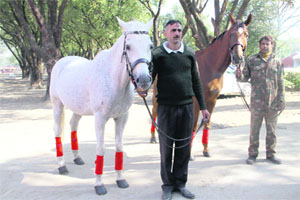 Horses being prepared for the passing-out parade of the Indian Military Academy in Dehradun on Monday