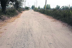The Araichan road in Doraha is in a state of neglect.
