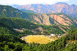 An aerial view of the Annandale Ground in Shimla