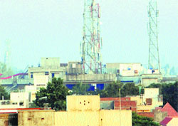Mobile towers installed in residential areas in Amritsar. Photo: Vishal Kumar