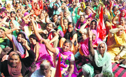 Members of the All-India Trade Union Congress and the Centre of Indian Trade Unions hold a protest outside DC's office in Amritsar on Thursday. Photo: Vishal Kumar