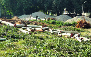 Trees have been axed for the construction of the school for meritorious students in Ludhiana. 