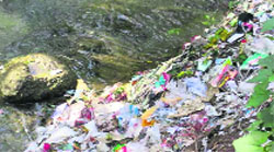 Hospital waste dumped into a stream in the district. Photo by writer