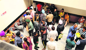 Residents queue up to deposit property tax in Jalandhar