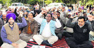 Members of the PUDA Joint Action Committee stage a dharna in support of their demands in Jalandhar on Friday.