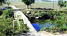 The Beriwala bridge in Fazilka
