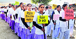 Staff of the health department take out the rally in Ludhiana