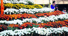 The fragrance of flowers spreads during a flower show in Ludhiana