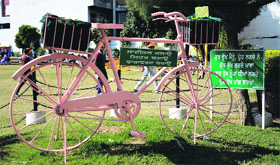 A pink cycle in the lawn of a gurdwara at Sarabha Nagar.