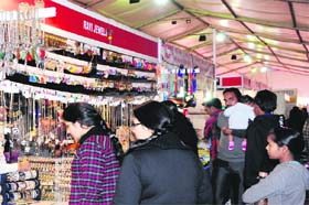 Customers at a stall on the opening day of the International Trade Expo in Amritsar on Thursday