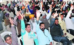 Members of the Depot Holders Association raise slogans against the Punjab Government during a meeting at the Teachers Home in Bathinda on Friday. Tribune photo
