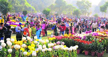 Blooming Sunday: Residents throng Terraced Garden on the concluding day of Chrysanthemum Show at Sector 33, Chandigarh, on Sunday