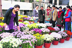 A flower show organised by DAV College in Yamunanagar on Sunday.