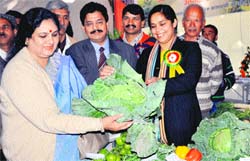 Horticulture Minister Amrita Rawat looks at a cauliflower at an exhibition of the Department of Horticulture in Dehradun on Monday. A Tribune Photograph