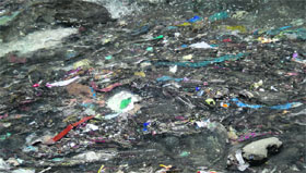 A water channel is strewn with garbage in Palampur.