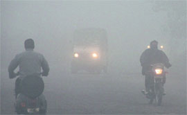 With head lights on, vehicles move at a snails pace in dense fog on the busy GT Road near Jalandhar on Monday.