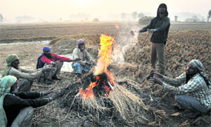 Labourers try to keep themselves warm at a border village in RS Pura on Monday. 