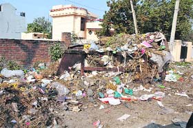 Garbage lies scattered on the roadside in Jammu