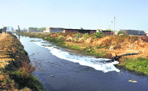 A pipe discharges effluents into a drain, crossing Leather Complex, in Jalandhar on Tuesday.