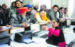 Residents file their property tax returns at the Suvidha Centre in the Zone D office of the MC at Sarabha Nagar in Ludhiana on Tuesday. Tribune photo: Himanshu Mahajan