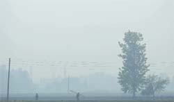 Residents of Ludhiana woke up to a foggy morning on Tuesday. Tribune photo: Himanshu Mahajan