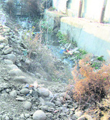 Nullah Parigam reduced to a drain. 