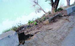 Missing parapets along the Doraha-Neelon stretch pose a danger to motorists. A Tribune photograph