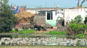 Residential houses have encroached upon the endangered Gharana wetland in RS Pura near Jammu.
