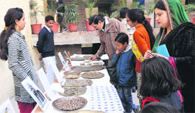 Visitors look at the rare coins at an exhibition in Amritsar on Saturday.