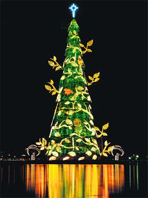 A view of an 85 meter-high Christmas tree at Cantagalo park in Rio de Janeiro, Brazil