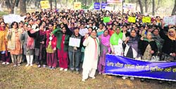 Members of the Punjab Mahila Congress during a rally in Moga on Monday. Tribune photo