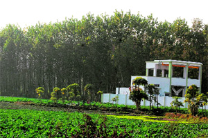 The site at Sarai village in Haridwar where a National Disaster Response Force centre is proposed. 
