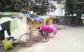 An illegally built tenement inside the District Administrative Complex in Jalandhar where four families are staying for the past two years.
