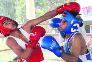 A bout in progress in the Panchayat Boxing Championship held in Dehradun on Wednesday