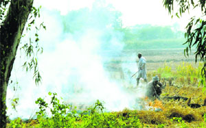 Stubble burning is adding to pollution.