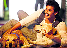 Neil Bhatt