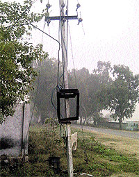 The pole from which the transformer was stolen