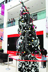 he Christmas tree that has become a centre of attraction in Amritsar