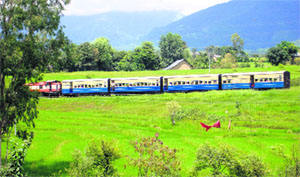 A train on the Pathankot-Jogindernagar track in Kangra district.