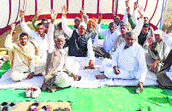 Farmers stage a dharna for compensation based on a resurvey at Gorakhpur in Fatehabad on Tuesday. A Tribune photograph