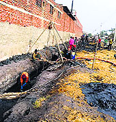 Cleaning work in progress at drains near common effluent treatment plant in Jalandhar on Tuesday