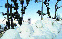 Snow on the Chamba-Khajjiar road