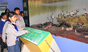 Students of The Gurukul at the Nature Interpretation Park of Sukhana Lake in Chandigarh. 