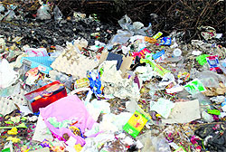 Polythene bags littered in Baijnath town