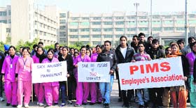 Striking staff of Punjab Institute of Medical Sciences (PIMS) protest against the Punjab government and the PIMS management in Jalandhar on Saturday