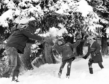 Snow treat: Gulmarg is one of the Valleys tourist hotspots.