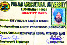 Identity card of victim Devinder Singh