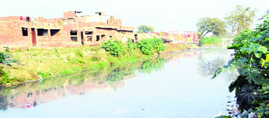 A view of the Tung Dhab drain near the Ram Tirath road in Amritsar.