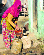 A woman collects dirty water for disposal in Bhagpati village (ward 2) of the Karnal MC. Tribune photo: Ravi Kumar